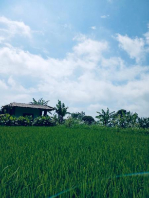 Opik Homestay Tete Batu
